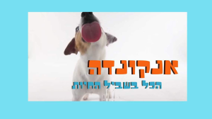 אנקונדה