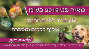 מאיה פט 2018