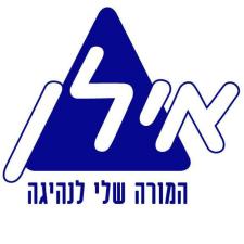 אילן הוראת נהיגה