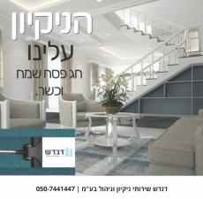 דנדש