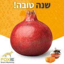 בנייה וקידום אתרים FOXIE