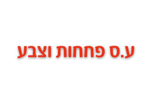 ע.ס פחחות וצבע מוסך