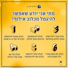 האילוף של בן